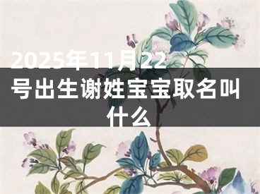 2025年11月22号出生谢姓宝宝取名叫什么