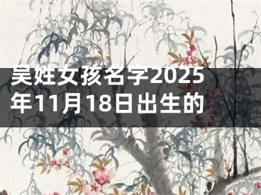 吴姓女孩名字2025年11月18日出生的