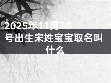 2025年11月20号出生宋姓宝宝取名叫什么