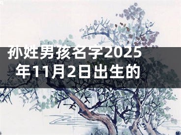 孙姓男孩名字2025年11月2日出生的