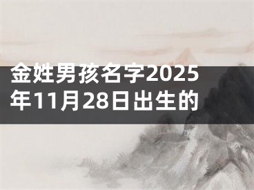 金姓男孩名字2025年11月28日出生的