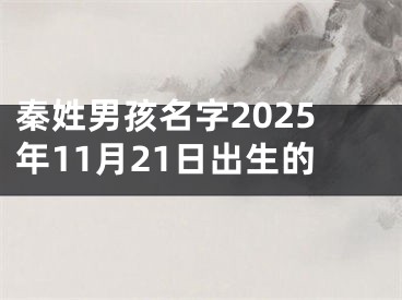 秦姓男孩名字2025年11月21日出生的