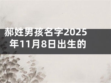郝姓男孩名字2025年11月8日出生的