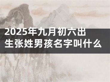 2025年九月初六出生张姓男孩名字叫什么