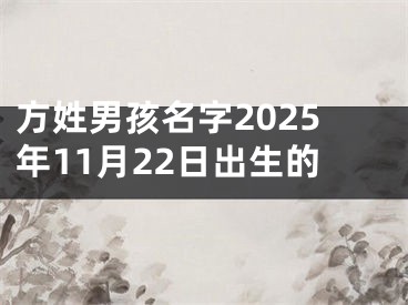 方姓男孩名字2025年11月22日出生的