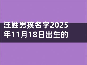 汪姓男孩名字2025年11月18日出生的