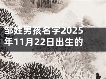 邹姓男孩名字2025年11月22日出生的