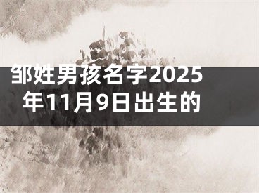 邹姓男孩名字2025年11月9日出生的