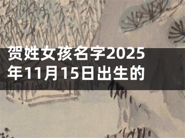 贺姓女孩名字2025年11月15日出生的