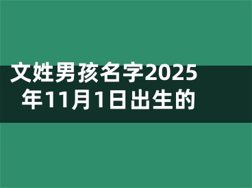 文姓男孩名字2025年11月1日出生的