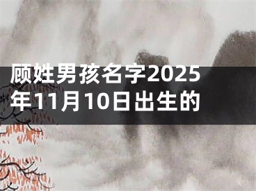 顾姓男孩名字2025年11月10日出生的