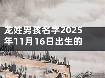 龙姓男孩名字2025年11月16日出生的