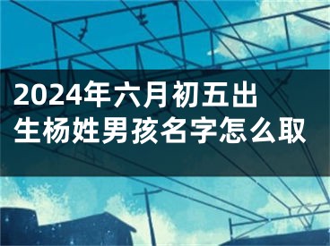 2024年六月初五出生杨姓男孩名字怎么取