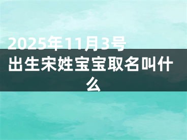 2025年11月3号出生宋姓宝宝取名叫什么