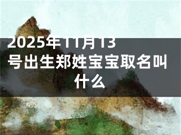 2025年11月13号出生郑姓宝宝取名叫什么