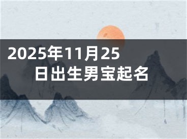 2025年11月25日出生男宝起名