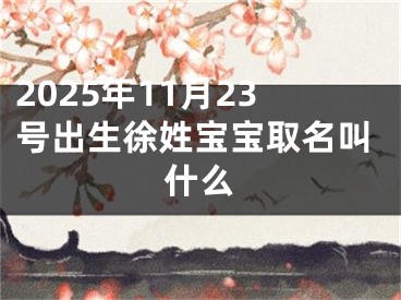 2025年11月23号出生徐姓宝宝取名叫什么