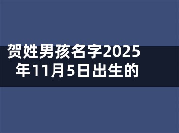 贺姓男孩名字2025年11月5日出生的