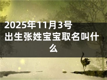 2025年11月3号出生张姓宝宝取名叫什么