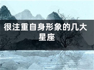 很注重自身形象的几大星座