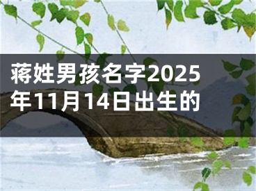 蒋姓男孩名字2025年11月14日出生的