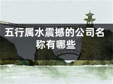 五行属水震撼的公司名称有哪些