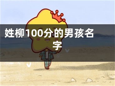 姓柳100分的男孩名字