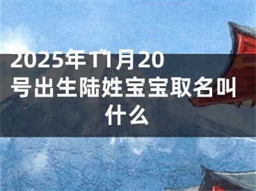 2025年11月20号出生陆姓宝宝取名叫什么