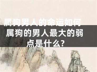 属狗男人的命运如何  属狗的男人最大的弱点是什么?