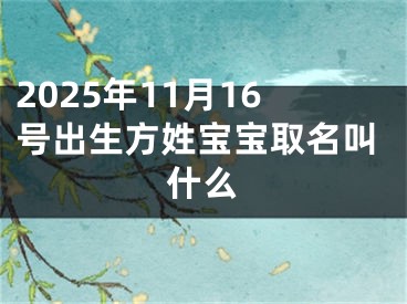 2025年11月16号出生方姓宝宝取名叫什么