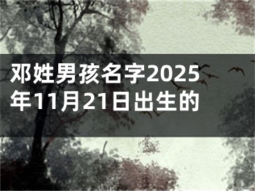 邓姓男孩名字2025年11月21日出生的