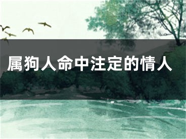 属狗人命中注定的情人