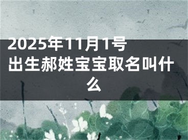 2025年11月1号出生郝姓宝宝取名叫什么