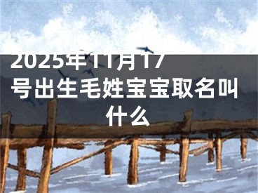2025年11月17号出生毛姓宝宝取名叫什么