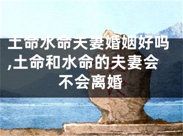 土命水命夫妻婚姻好吗,土命和水命的夫妻会不会离婚