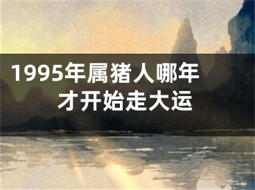 1995年属猪人哪年才开始走大运