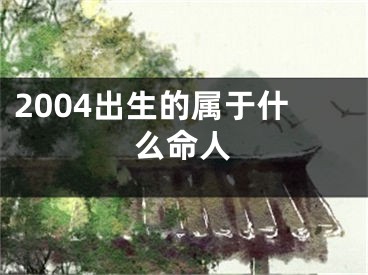 2004出生的属于什么命人