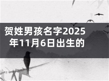 贺姓男孩名字2025年11月6日出生的
