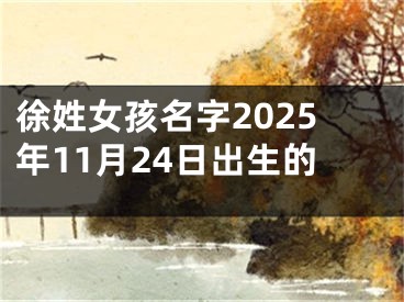 徐姓女孩名字2025年11月24日出生的