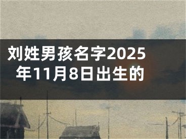 刘姓男孩名字2025年11月8日出生的