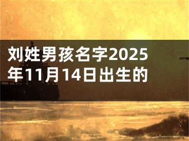 刘姓男孩名字2025年11月14日出生的