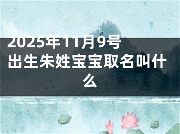 2025年11月9号出生朱姓宝宝取名叫什么