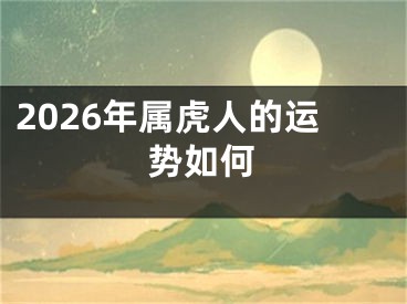 2026年属虎人的运势如何