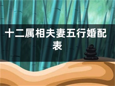 十二属相夫妻五行婚配表