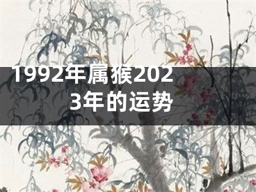 1992年属猴2023年的运势