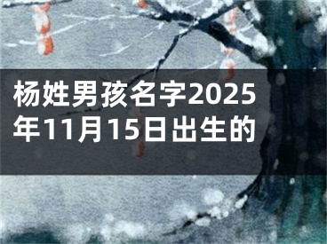 杨姓男孩名字2025年11月15日出生的