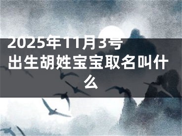2025年11月3号出生胡姓宝宝取名叫什么