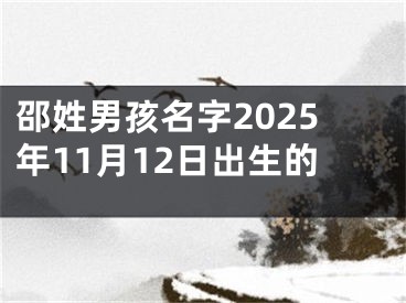 邵姓男孩名字2025年11月12日出生的