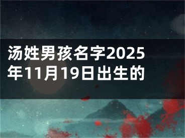 汤姓男孩名字2025年11月19日出生的