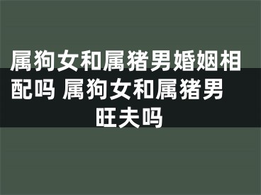 属狗女和属猪男婚姻相配吗 属狗女和属猪男旺夫吗